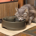 Fontaine Current (L) - Petsafe