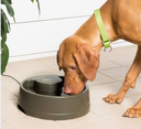 Fontaine Current (L) - Petsafe