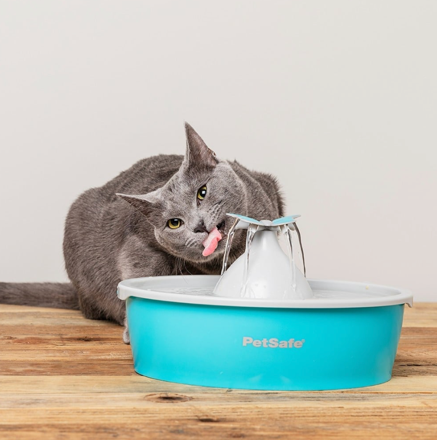 Fontaine à eau "Butterfly" (1.5 litres) - Petsafe