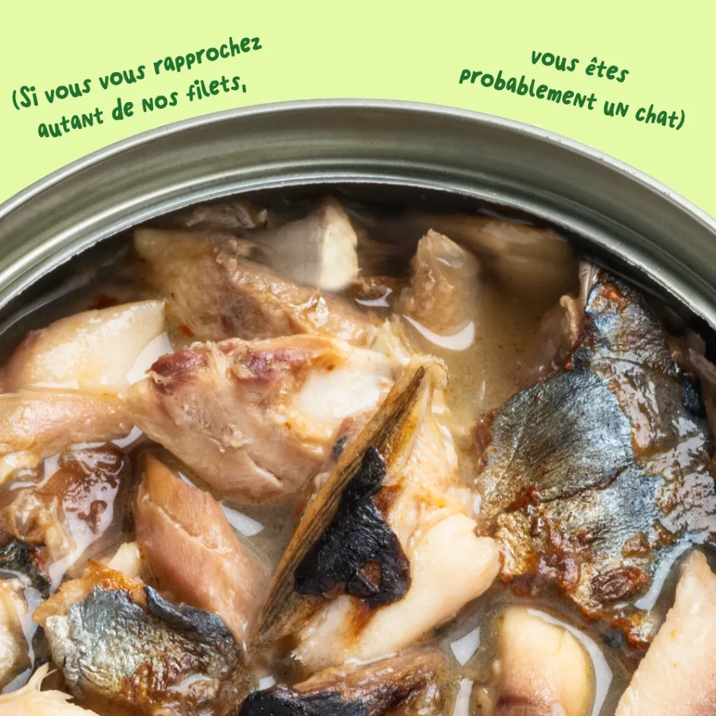 6_Cat-Fillets_DTC_FR_MackerelNatural_Texture.webp