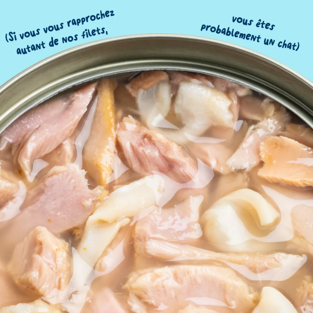 6_Cat-Fillets_DTC_FR_TunaSquid_Texture.webp