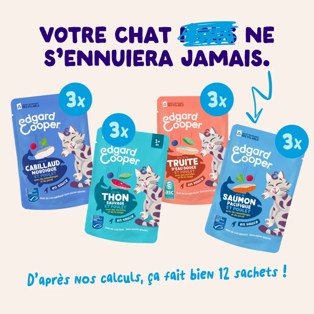 Morceaux en sauce en sachets  Pêche du jour – Multipack (12 sachets 85 g) - Edgard & Cooper