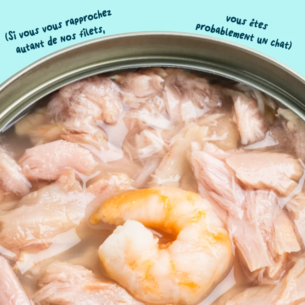 6_Cat-Fillets_DTC_FR_TunaShrimp_Texture.webp