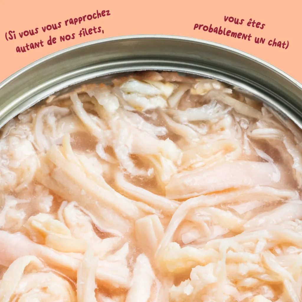 6_Cat-Fillets_DTC_FR_ChickenNatural_Texture.webp