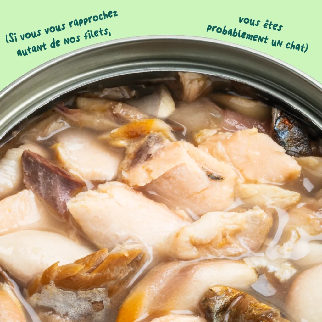6_Cat-Fillets_DTC_FR_SalmonMackerel_Texture.webp