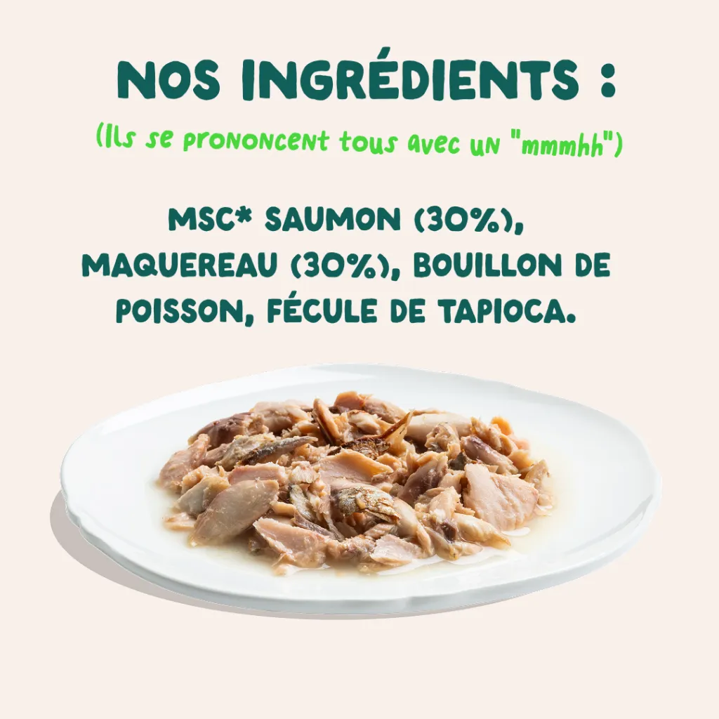 7_Cat-Fillets_DTC_FR_SalmonMackerel_Ingredients.webp