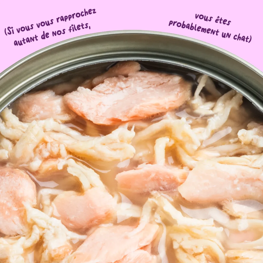 6_Cat-Fillets_DTC_FR_SalmonChicken_Texture.webp