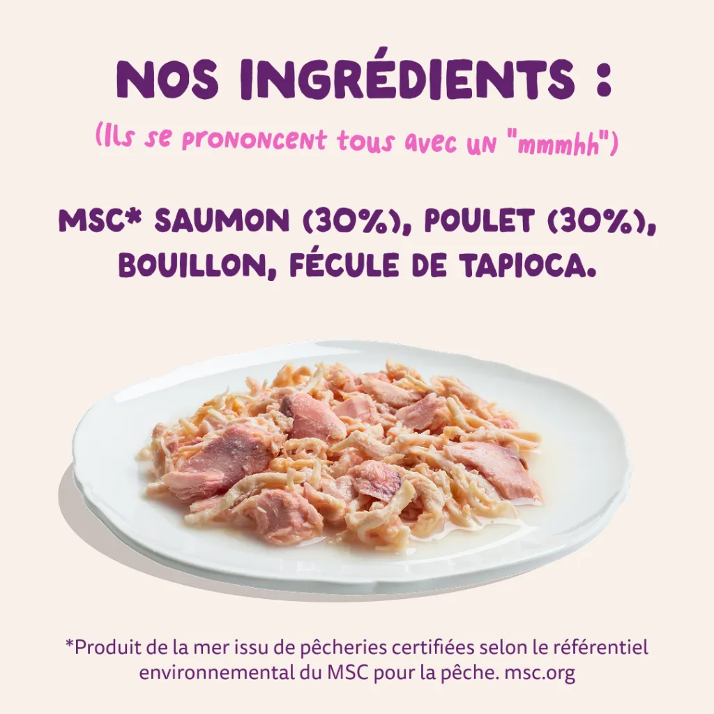 7_Cat-Fillets_DTC_FR_SalmonChicken_Ingredients.webp