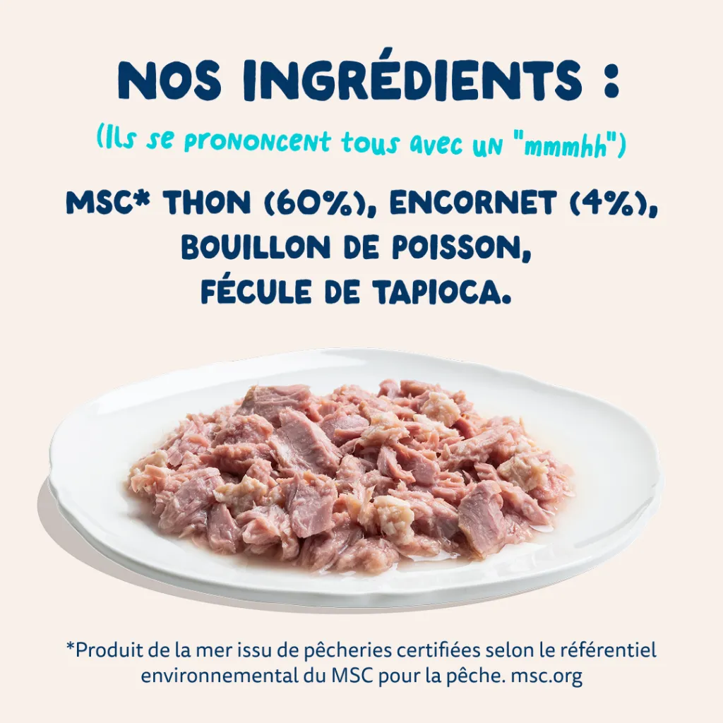 7_Cat-Fillets_DTC_FR_TunaSquid_Ingredients.webp
