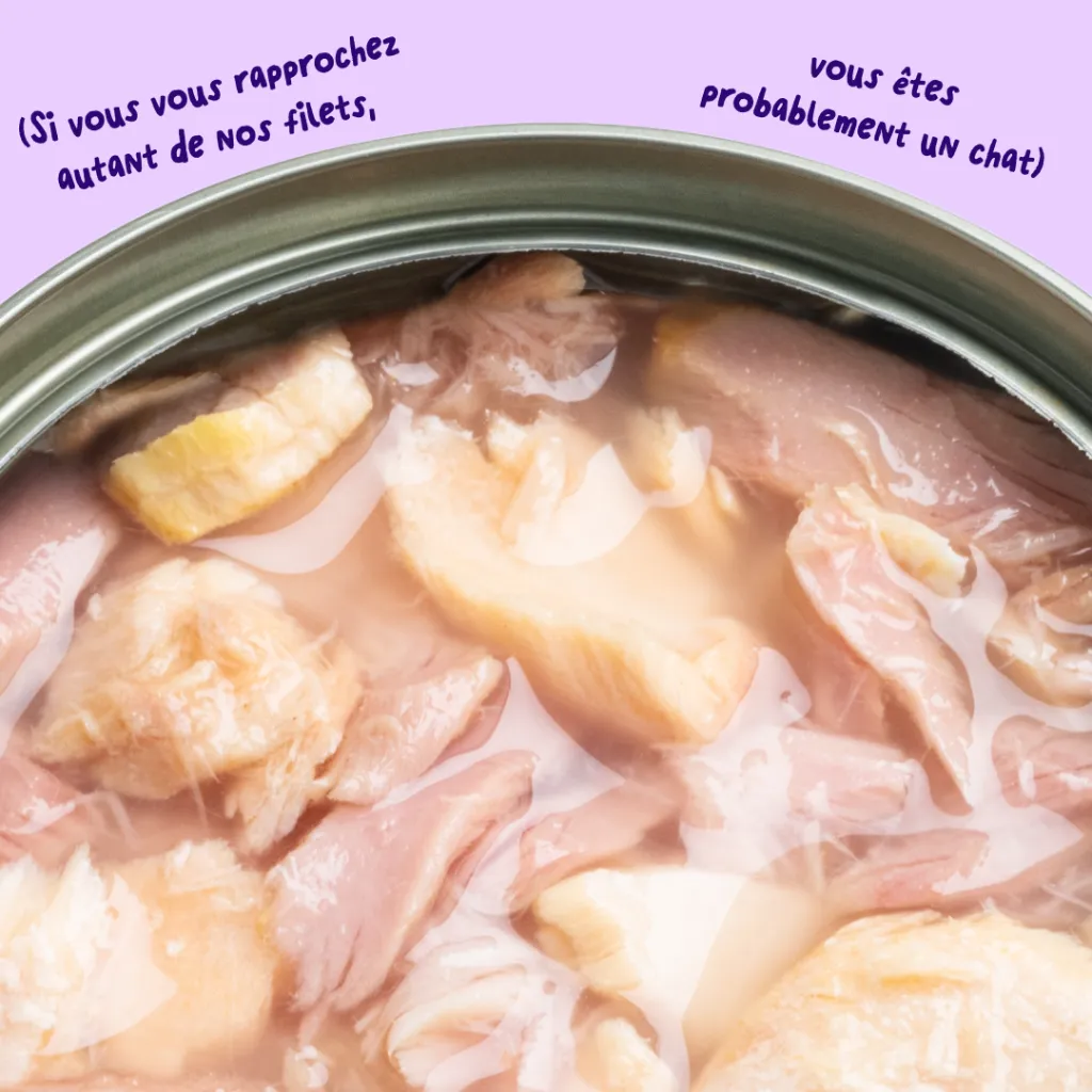 6_Cat-Fillets_DTC_FR_SalmonTuna_Texture.webp