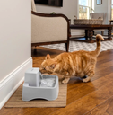 Fontaine à eau "Drinkwell Original" (1.8 litres) - PetSafe