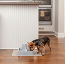 Fontaine à eau "Drinkwell Original" (1.8 litres) - PetSafe