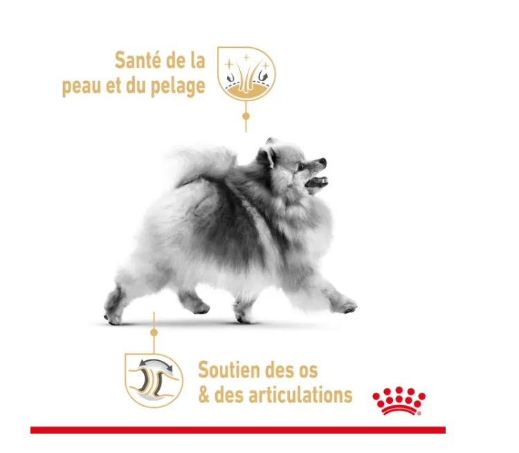 Adult Pomeranian (3 kg) - Royal Canin