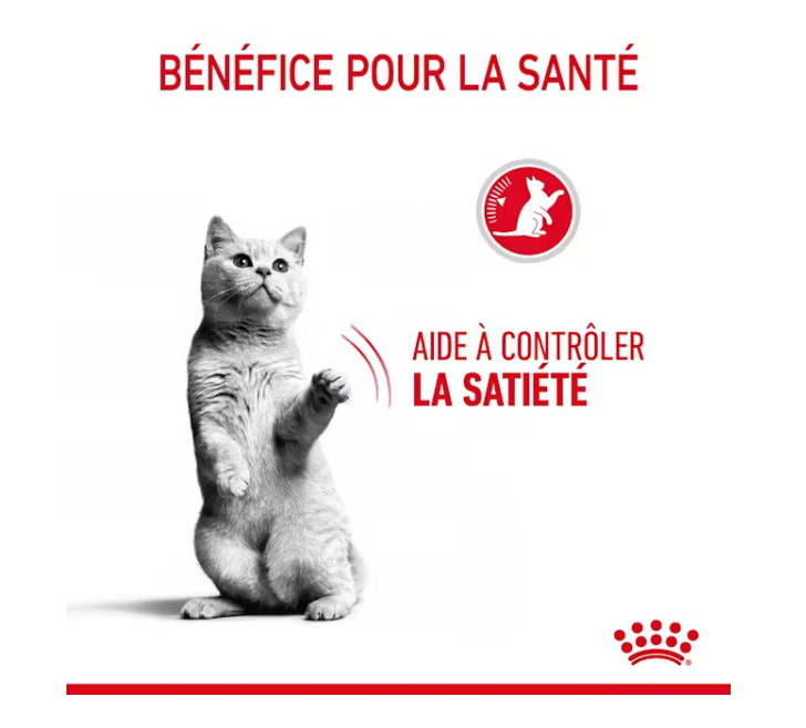 Appetite Control Care (2 kg) - Royal Canin