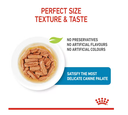 Bouchées en sauce Puppy Medium (10 sachets 140 g) - Royal Canin