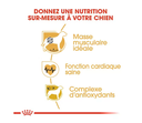 Boxer (12 kg) - Royal Canin