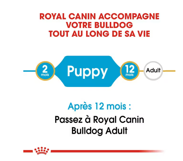 Bulldog Junior (12 kg) - Royal Canin