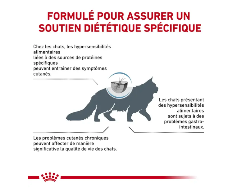 Cat Anallergenic (4 kg) - Royal Canin Veterinary