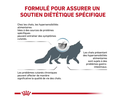 Cat Anallergenic (4 kg) - Royal Canin Veterinary