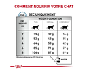 Cat Anallergenic (4 kg) - Royal Canin Veterinary