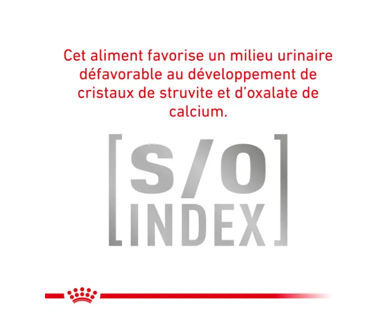 Cat Anallergenic (4 kg) - Royal Canin Veterinary