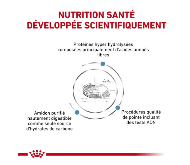 Cat Anallergenic (4 kg) - Royal Canin Veterinary