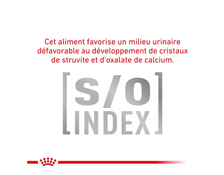 Cat Diabetic (3.5 kg) - Royal Canin Veterinary