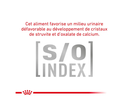 Cat Diabetic (3.5 kg) - Royal Canin Veterinary