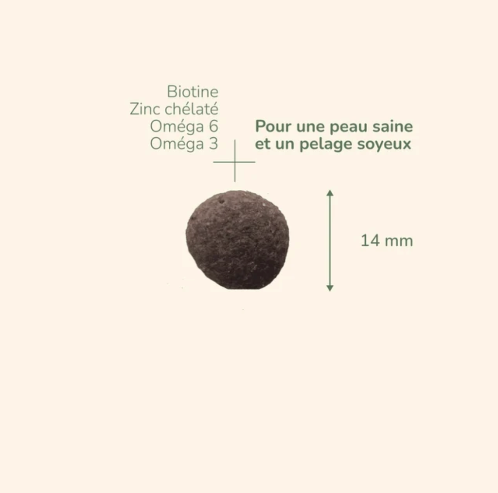 PURE LIFE Adult Medium (2 kg) - Pro-Nutrition Flatazor