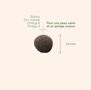 PURE LIFE Adult Medium (2 kg) - Pro-Nutrition Flatazor
