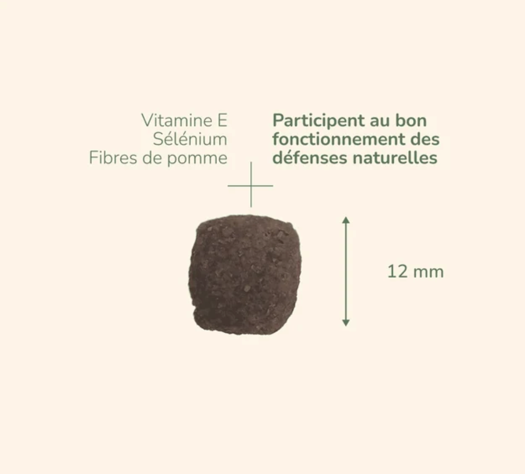 PURE LIFE Adult Mini (8 kg) - Pro-Nutrition Flatazor