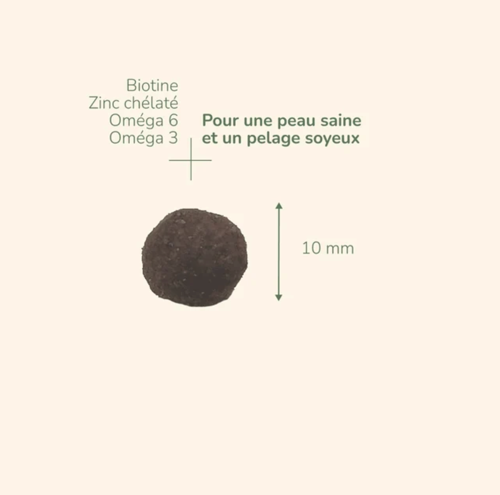 PURE LIFE Chat Adulte Dinde (2 kg) - Pro-Nutrition Flatazor