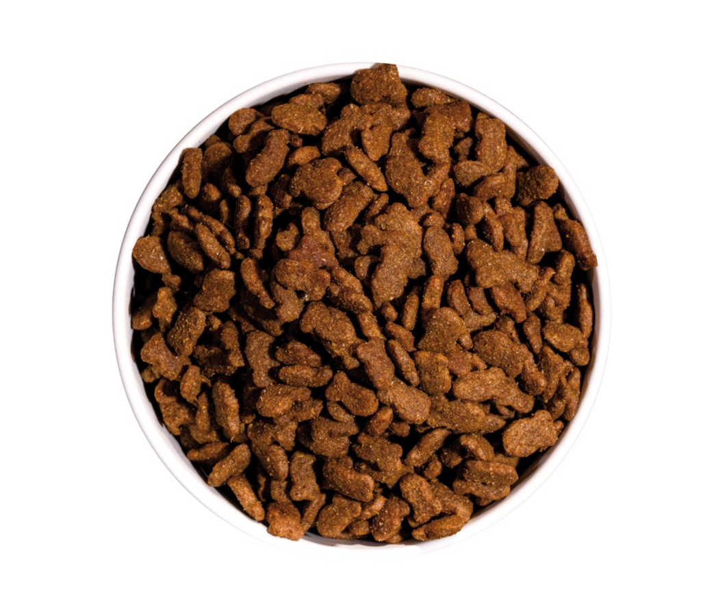 Classic Fish pour chat (1.5 kg) - OWNAT