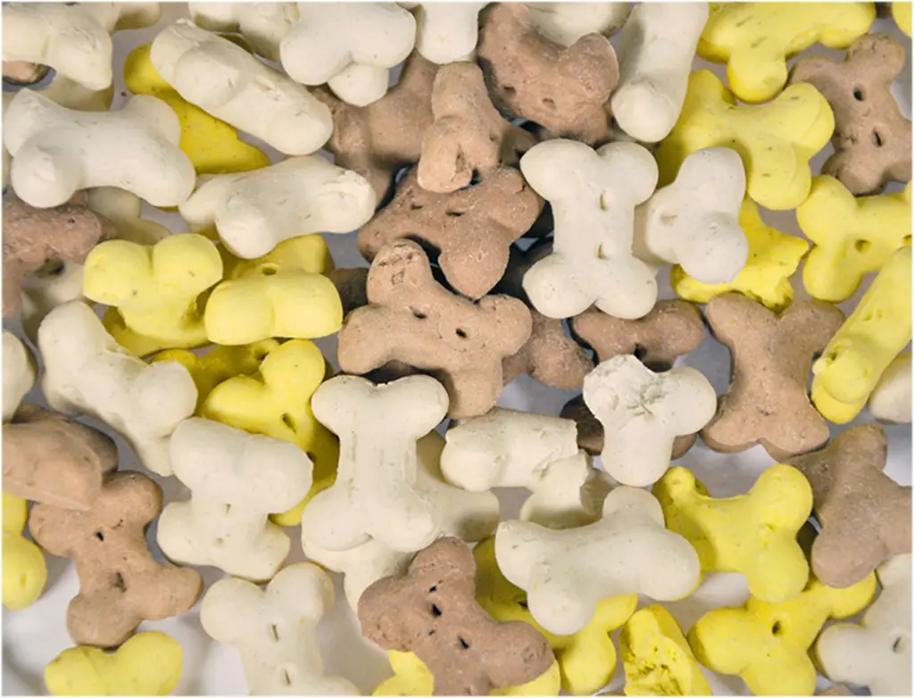 Biscuits Puppy Mix (500 g) - Vadigran