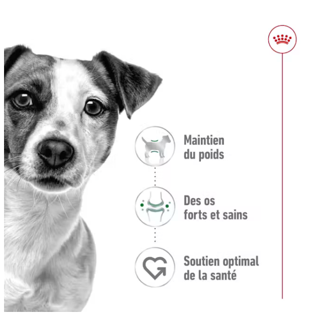 Canette mini adult pâtée en mousse pour petit chien (1 boite 195 g) - Royal Canin