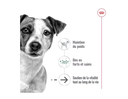 Canette mini ageing pâtée en mousse pour petit chien (1 boite 195 g) - Royal Canin