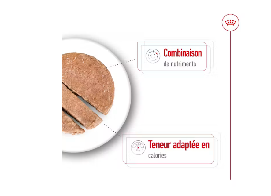 Canette mini ageing pâtée en mousse pour petit chien (1 boite 195 g) - Royal Canin