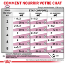 Cat Early Renal (12 sachets 85 g) - Royal Canin Veterinary