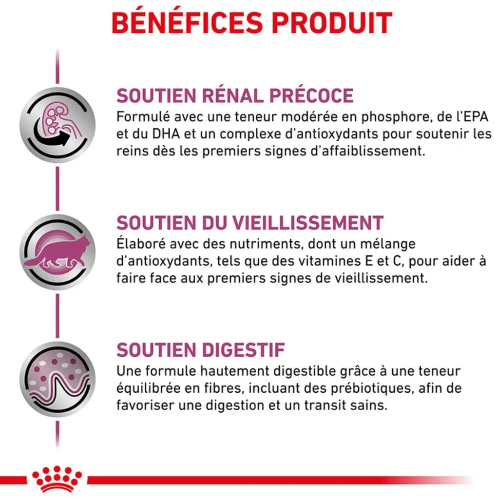 Cat Early Renal (12 sachets 85 g) - Royal Canin Veterinary