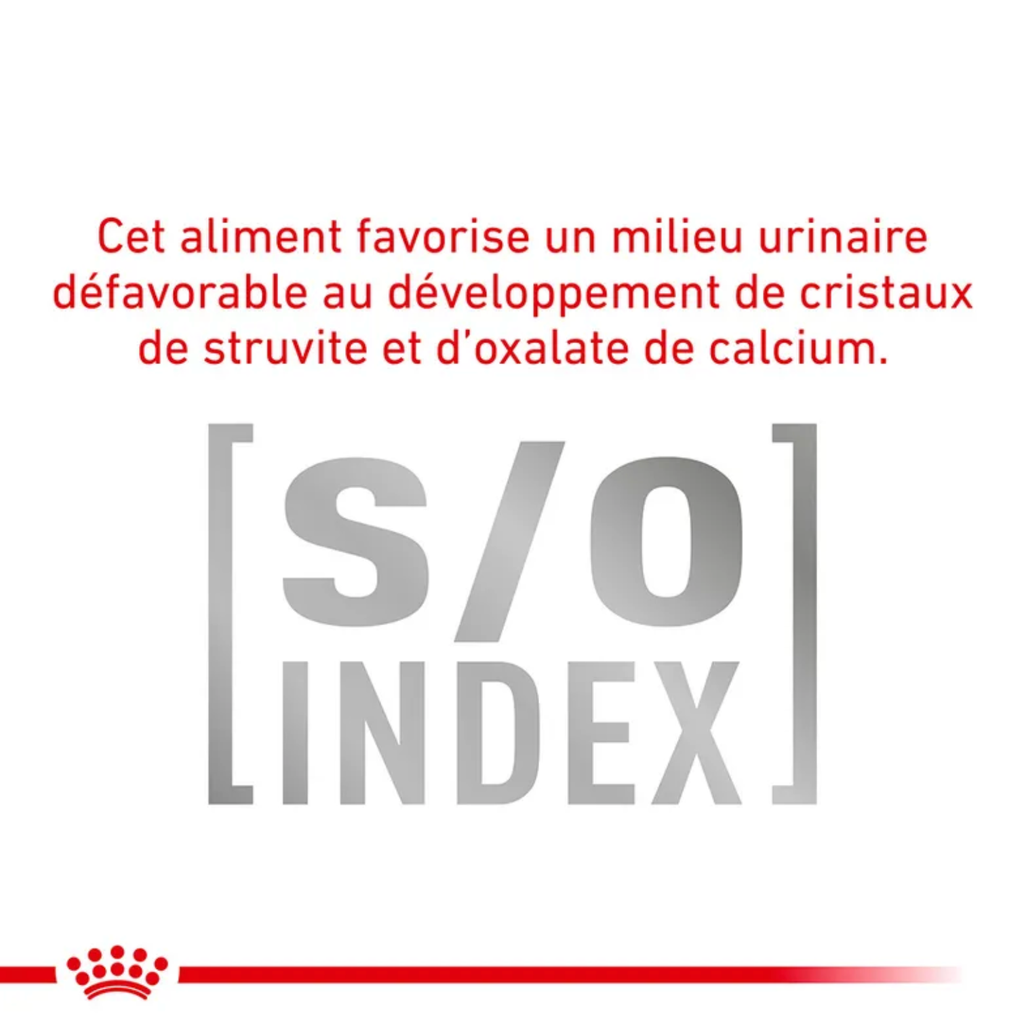 Cat Early Renal (12 sachets 85 g) - Royal Canin Veterinary