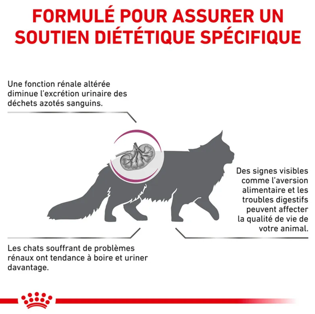 Cat Early Renal (6 kg) - Royal Canin Veterinary