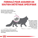 Cat Early Renal (6 kg) - Royal Canin Veterinary