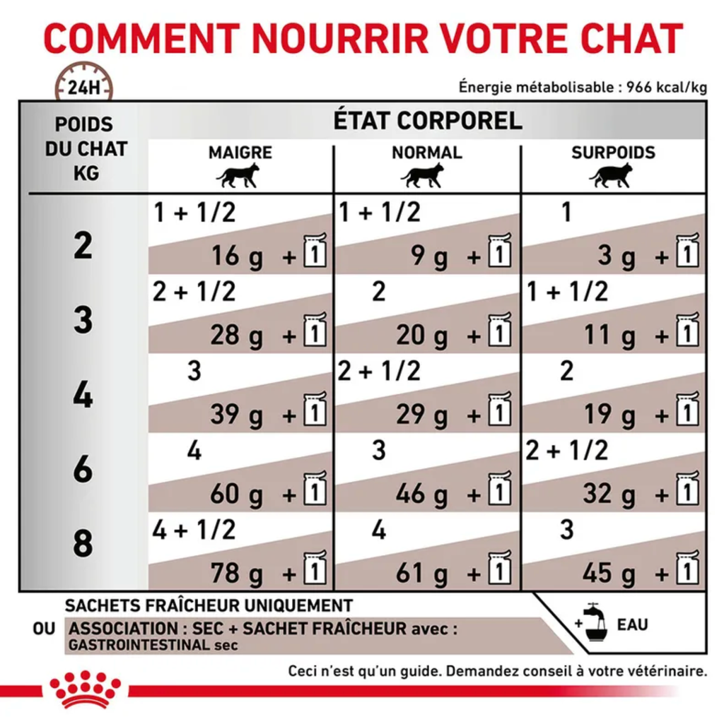 Cat Gastro Intestinal (12 sachets 85 g) - Royal Canin Veterinary