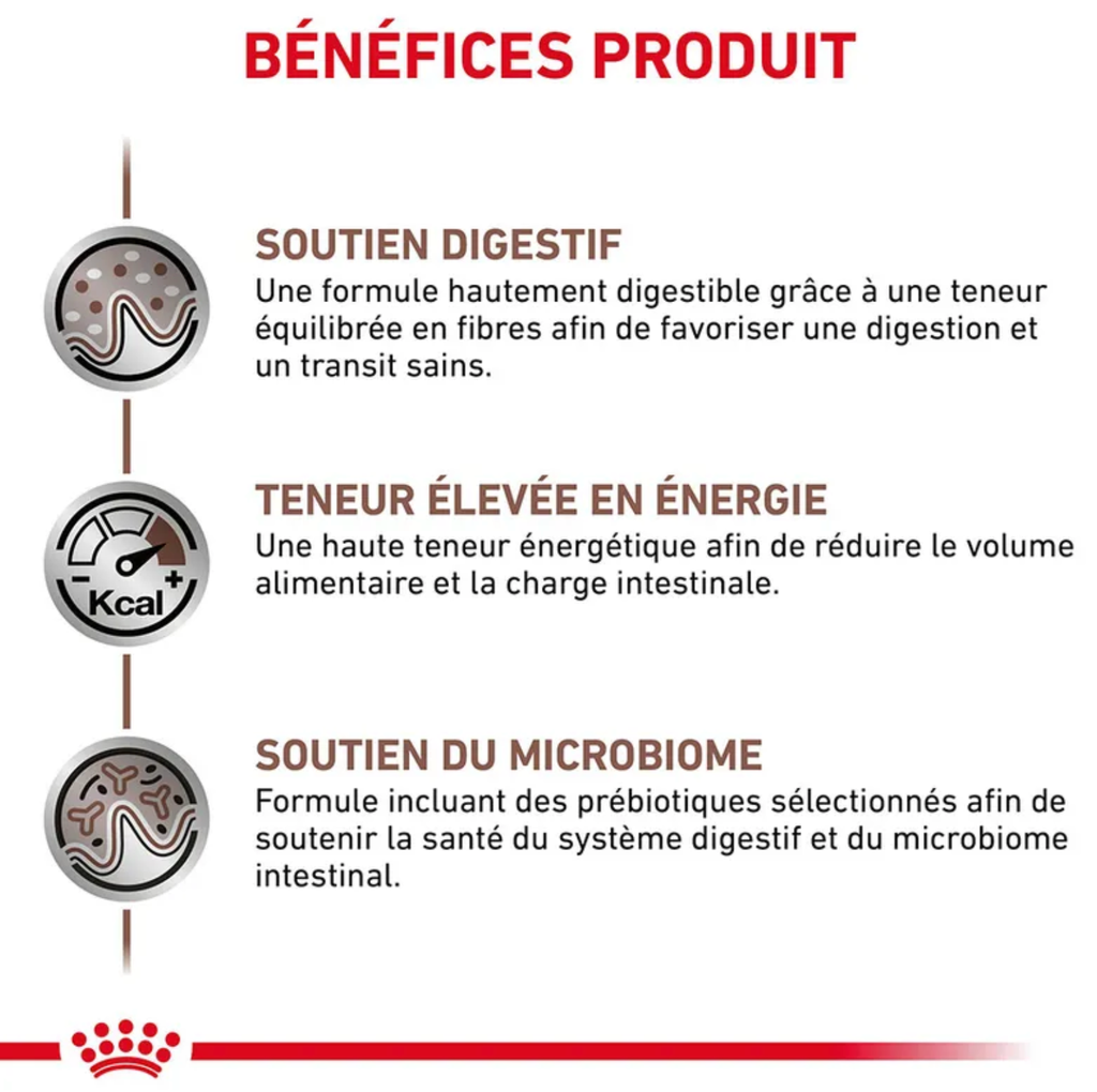 Cat Gastro Intestinal (12 sachets 85 g) - Royal Canin Veterinary
