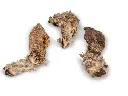 Butcher Oreilles de lapin (85 g) - Vadigran