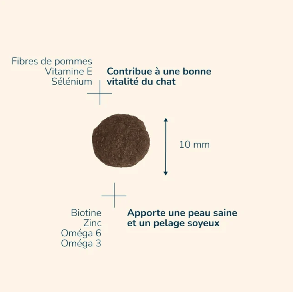 Prestige Chat Dinde (12 kg) - Pro-Nutrition Flatazor