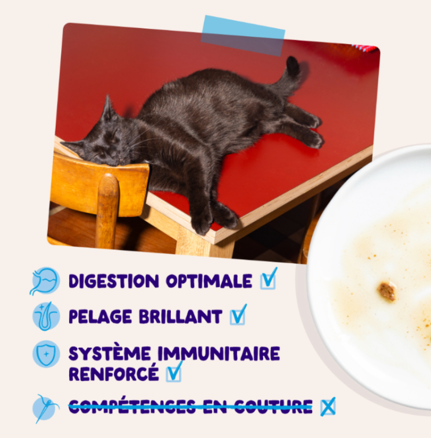 Morceaux en sauce en sachets  Pêche du jour – Multipack (12 sachets 85 g) - Edgard & Cooper