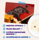 Morceaux en sauce en sachets  Pêche du jour – Multipack (12 sachets 85 g) - Edgard & Cooper