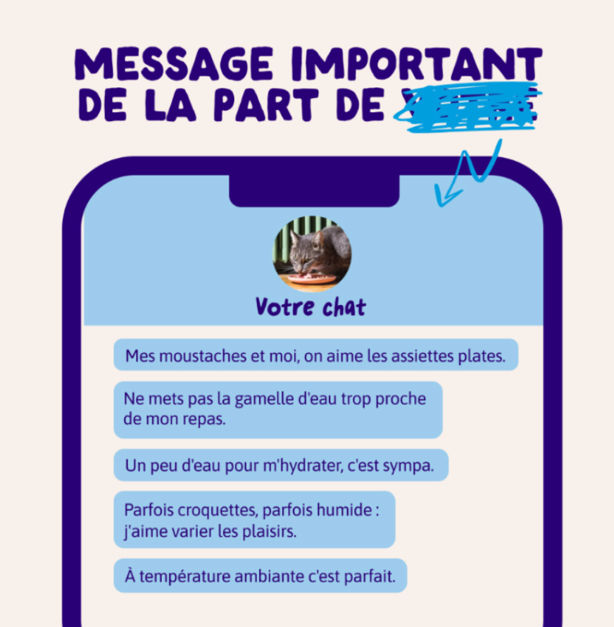 Morceaux en sauce en sachets  Pêche du jour – Multipack (12 sachets 85 g) - Edgard & Cooper