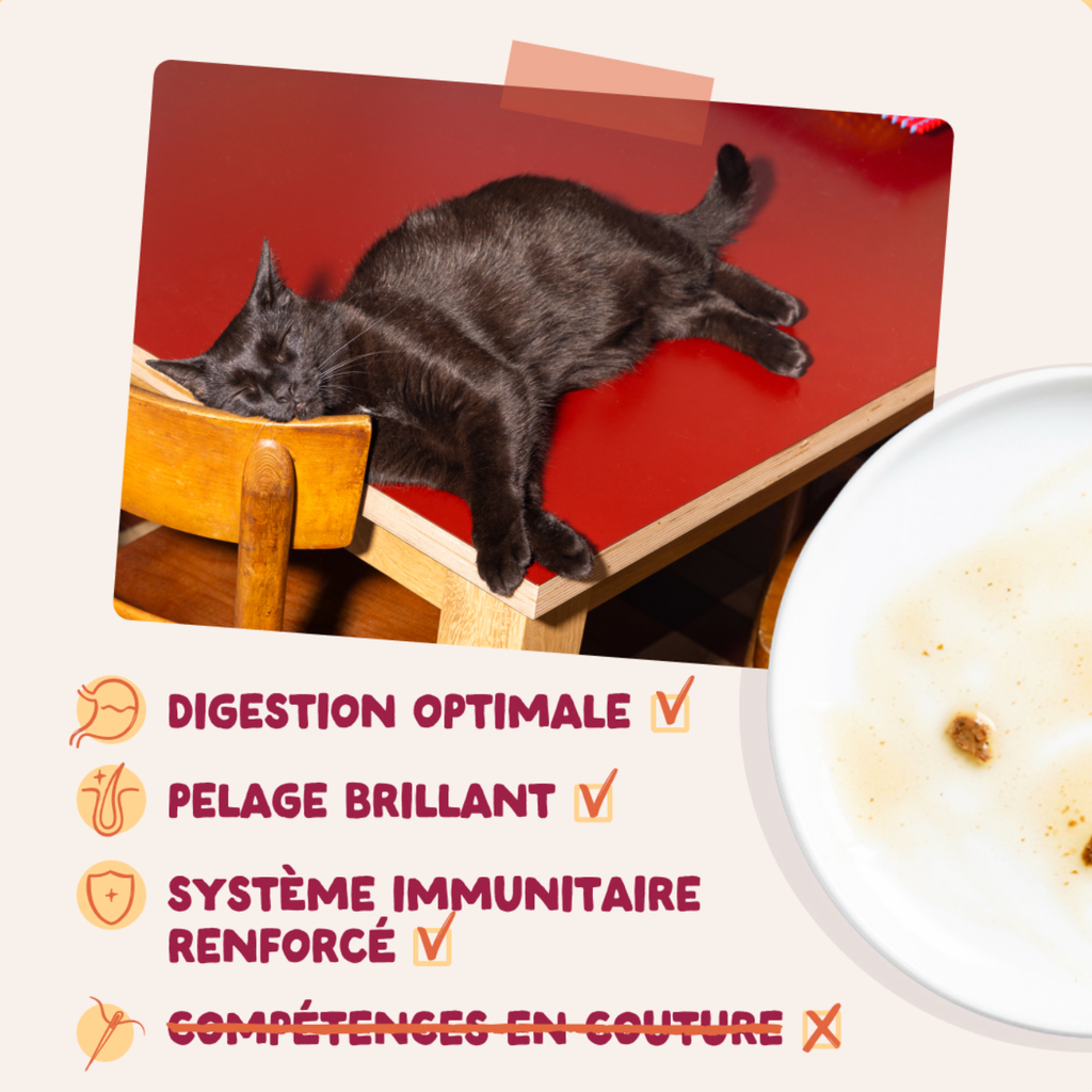 Morceaux en sauce en sachets  Délices de la ferme – Multipack (12 sachets 85 g) - Edgard & Cooper